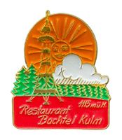 V339 - Pin Restaurant Bachtel Kulm Sonne Aussichtsturm Wald
