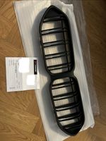 Calandre haricot BMW G20 G21