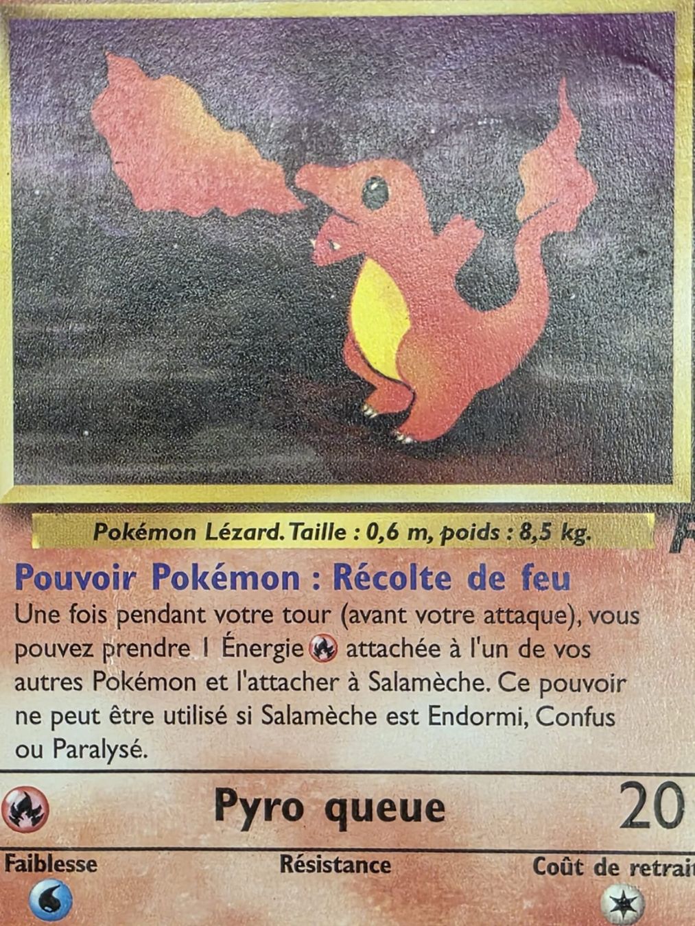 Pokémon Carte collezionabili: Salamèche Team Rocket 50/82 Française – Usato da lausanne venduto da Pipito93 2