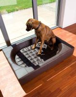 Designer Pet interio Hundebett NP 1200 Euro XXL Beige