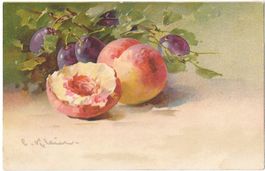 Künstlerkarte C. Klein Pfirsiche und Pflaumen