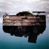 Alif Tree - Spaced