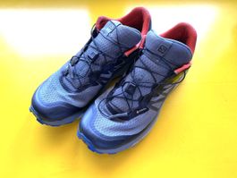 Salomon Sense Ride 4