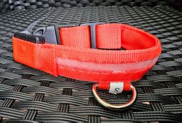 Hundehalsband, Leuchtend, Rot, Gr. S - 38 cm