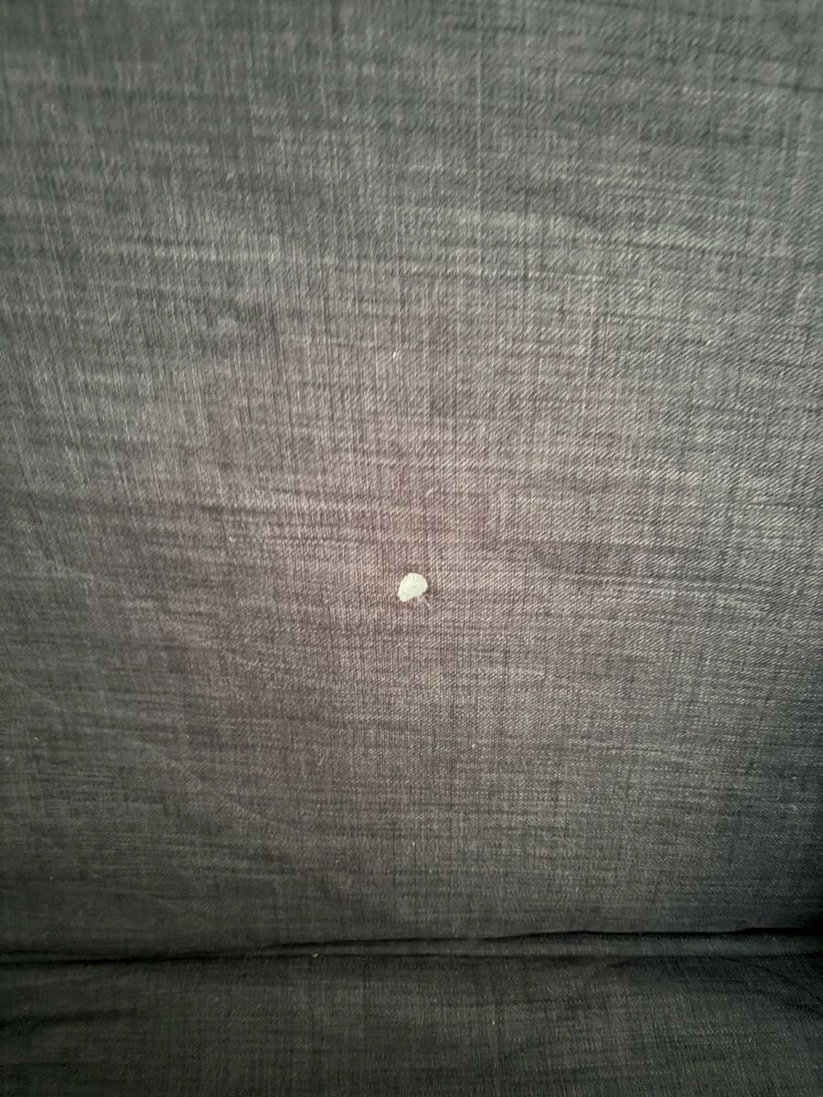 Letti: Ikea Nyhamn Bed Sofa – Usato da Thalwil venduto da chr_v2l5 2