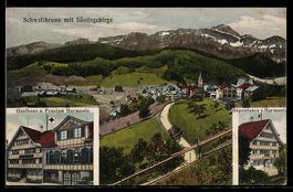 AK Schwellbrunn, Gasthaus und Pension Harmonie, Ortsansicht 