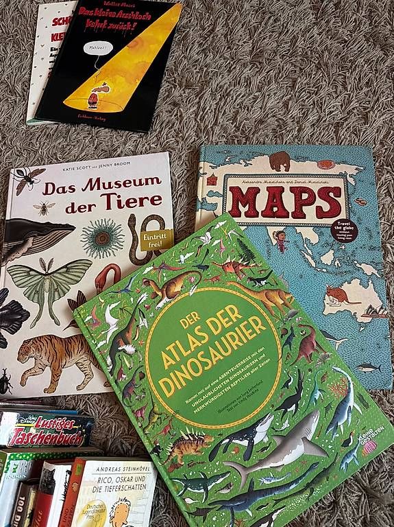 Libri: Bücherpaket – Usato da Schindellegi venduto da Poshanna 2
