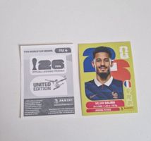 Panini Sticker FRA4