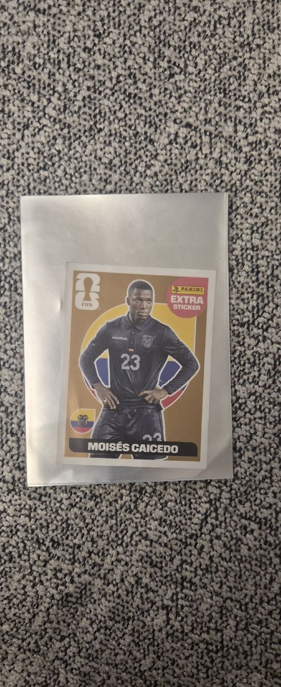 Panini Carte collezionabili: Extra Sticker Panini Top Zustand – Nuovo (secondo la descrizione) da Wetzikon ZH venduto da ifo02 4
