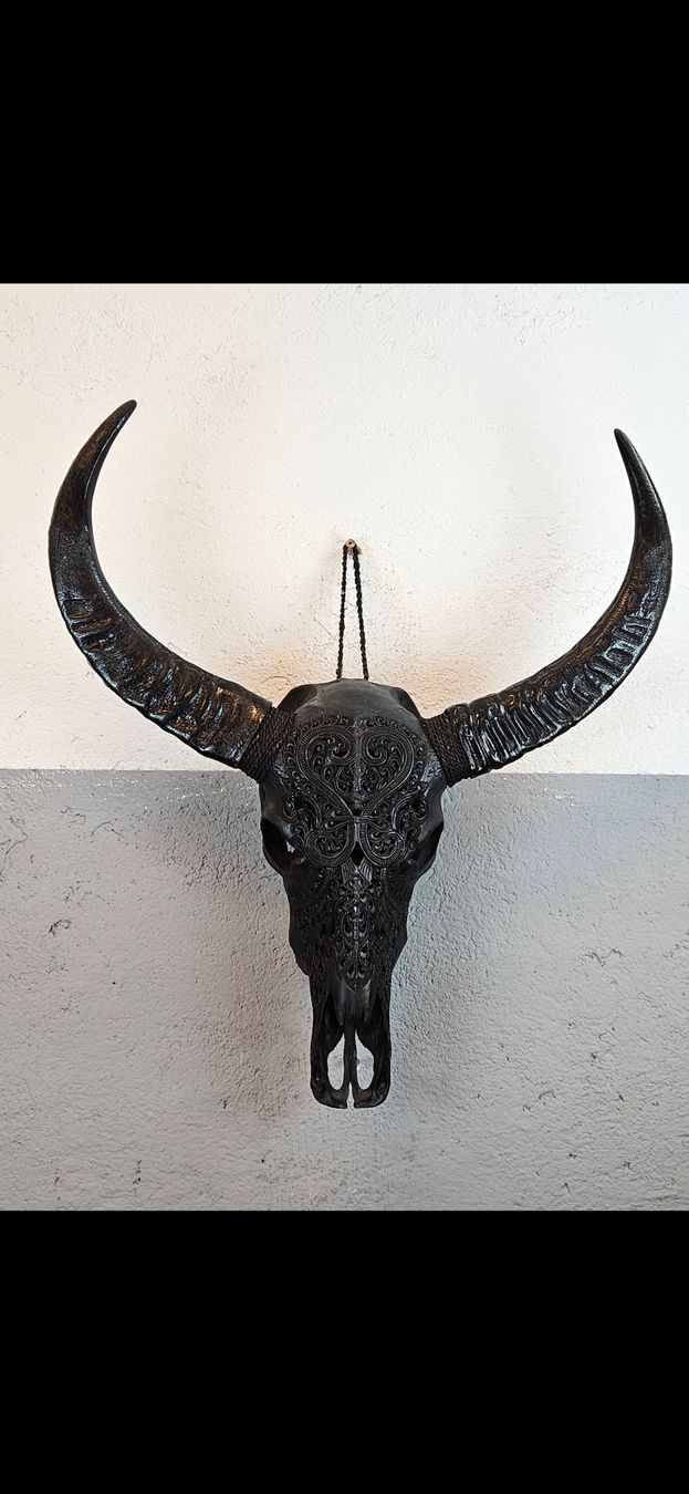 Tutte le decorazioni: authentique crâne de buffle sculpté – Nuovo e nell'imballaggio originale da Lausanne venduto da Toko_Lausanne 1