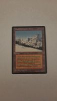 Mtg TAIGA (Foreign Limited )
