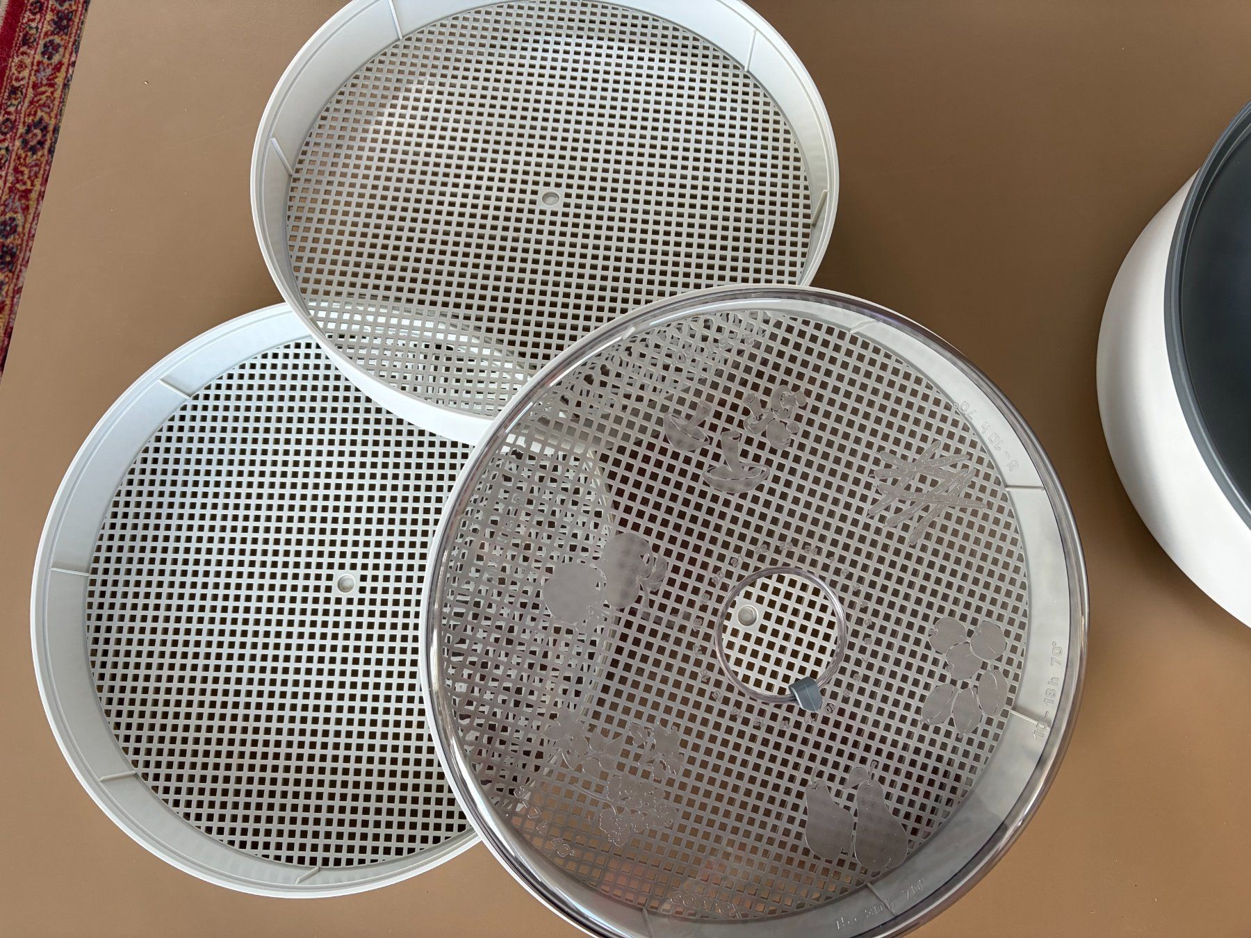 Elettrodomestici da cucina: Dörrex Stöckli Original Dörrgerät mit Regler – Usato da Uetendorf venduto da Mhot0 2