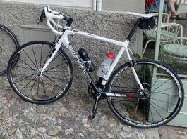 Rennrad Simplon Pavo
