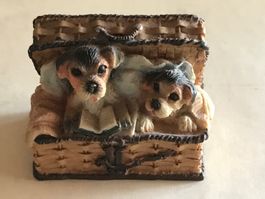 Hund Hunde im Körbchen Dekoration Sammlung Setzkasten