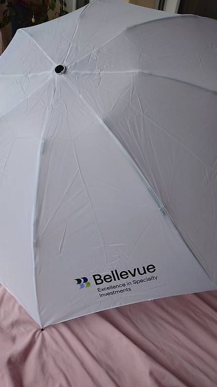 Ombrelli: Regenschirm mit Branding – Nuovo (secondo la descrizione) da Beringen venduto da jam_2w5z 1