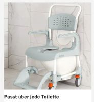 WC plus Dusch Stuhl in einem Linden Grün Nr. 11