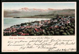 Thalweil, Ortsansicht aus der Vogelschau
