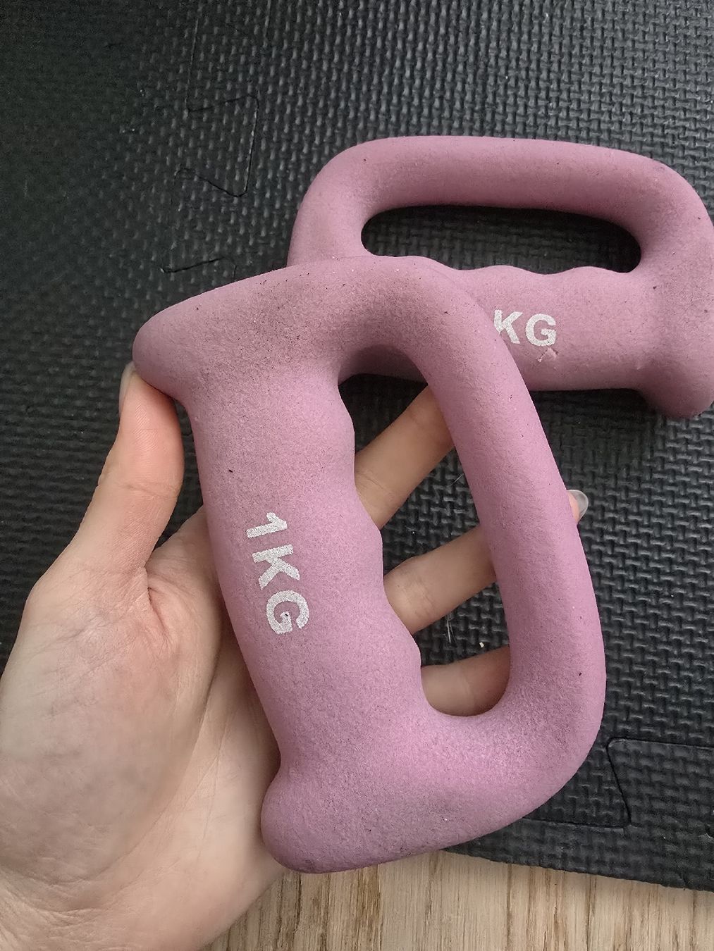 Manubri & Pesi: Kurzhantel - 1kg – Usato da Rickenbach b. Wil venduto da VeryLovelyThings 1