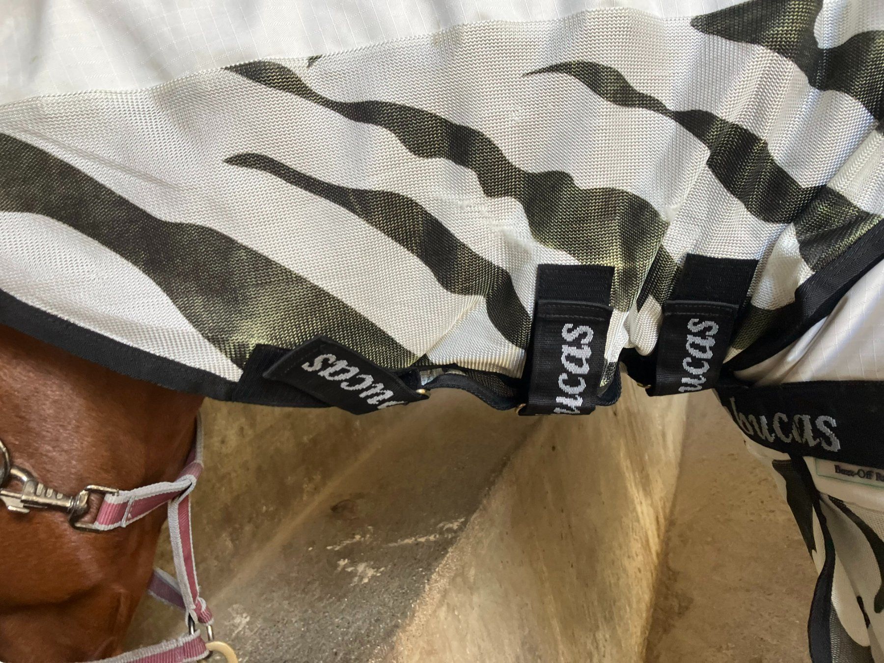 Decken & Deckenzubehör: Bucas Buzz-Off Rain Zebra & Neck 140cm – Gebraucht aus kottwil von opononi 2