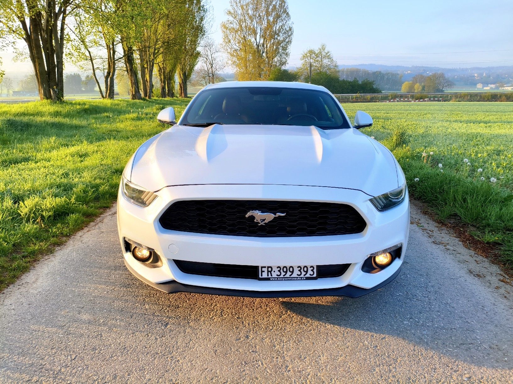 Ford Automobili: Ford Mustang Fastback – Usato da Dompierre FR venduto da F.Blanco 1