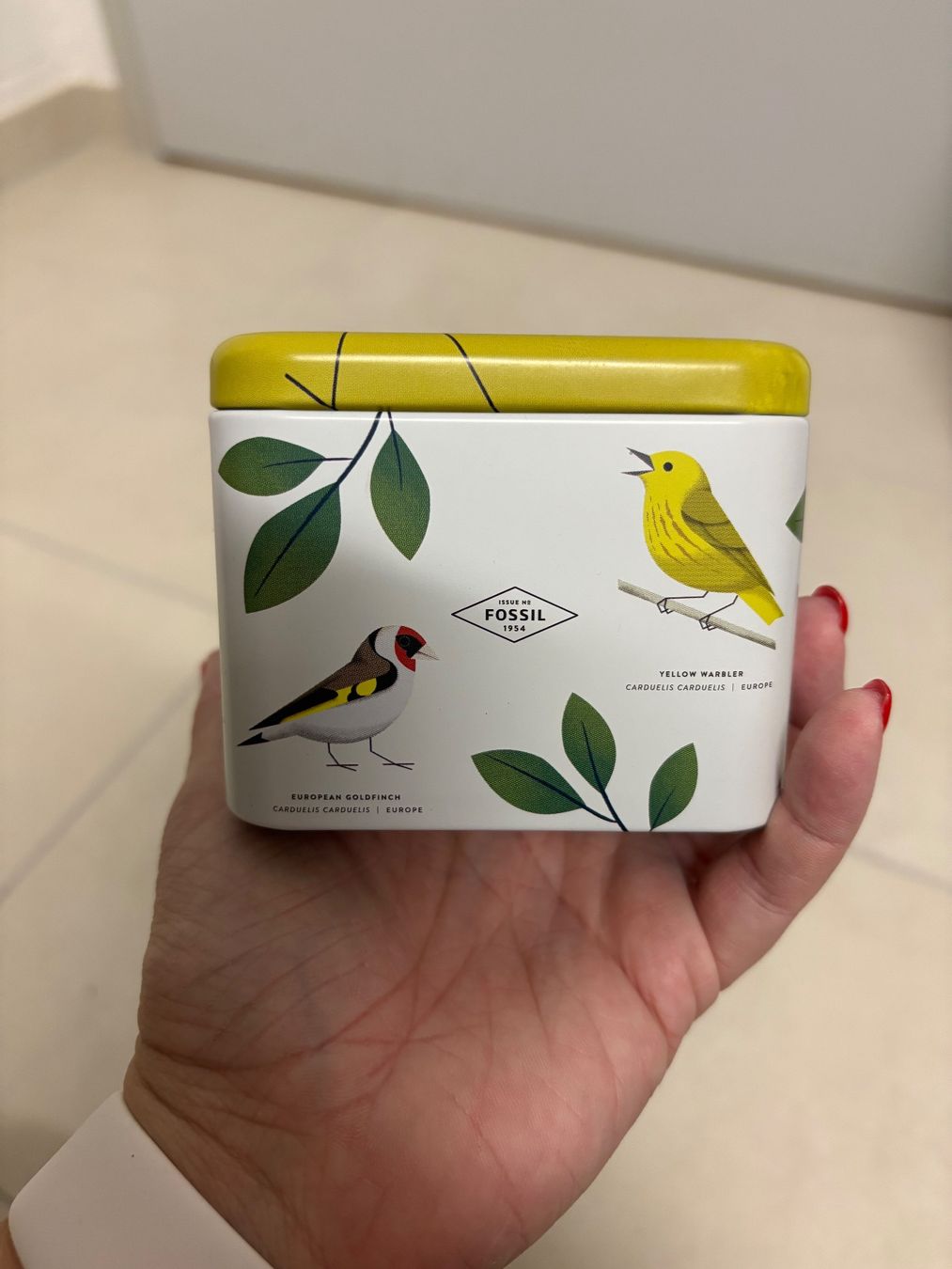 Zuckerdosen: Fossil Dose / Tin Box Vögel / Birds World – Gebraucht aus Basel von Tierschutz-Flohmi