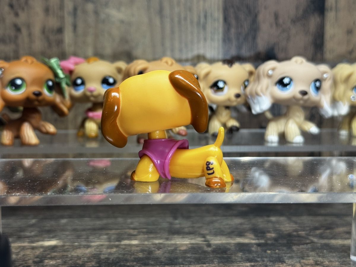 Hasbro Giocattoli: Littlest pet shop Dachshund – Usato da Luzern venduto da Maja.C 1