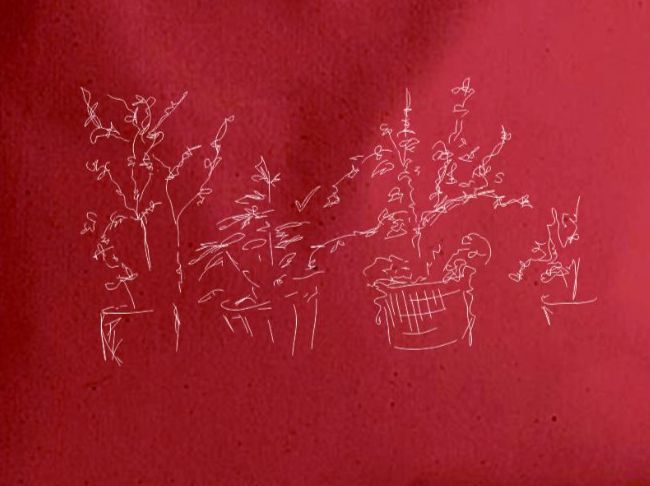 Borse: Sketches Collection Canvas Tasche - Plants – Nuovo e nell'imballaggio originale da Münchenbuchsee venduto da Monali 1