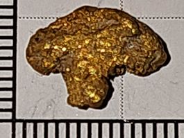Natürliches schweizer Goldnugget (Eigenfund)