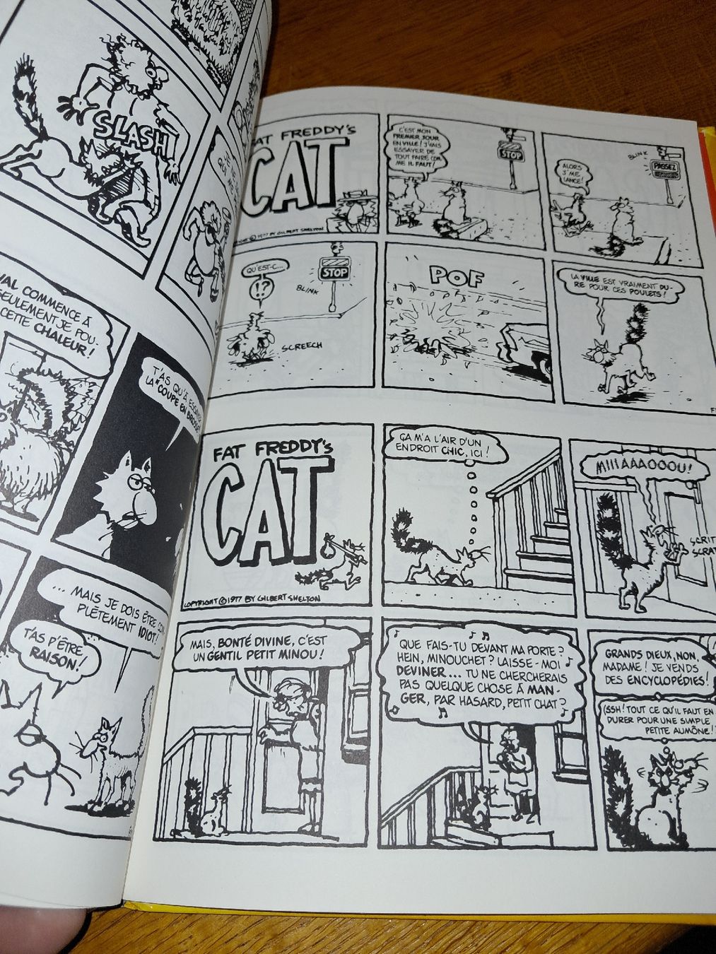 Fumetti: Bd Les Aventures du chat de Fat Freddy – Usato da Le locle venduto da juliensaran 2