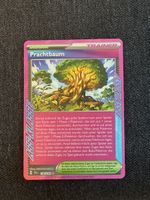 Pokémon Trainerkarte Prachtbaum