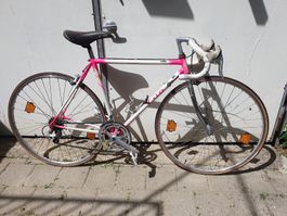 Rennvelo weiss/pink, fahrbereit, Frühlings-Deal! 🚴‍♀️