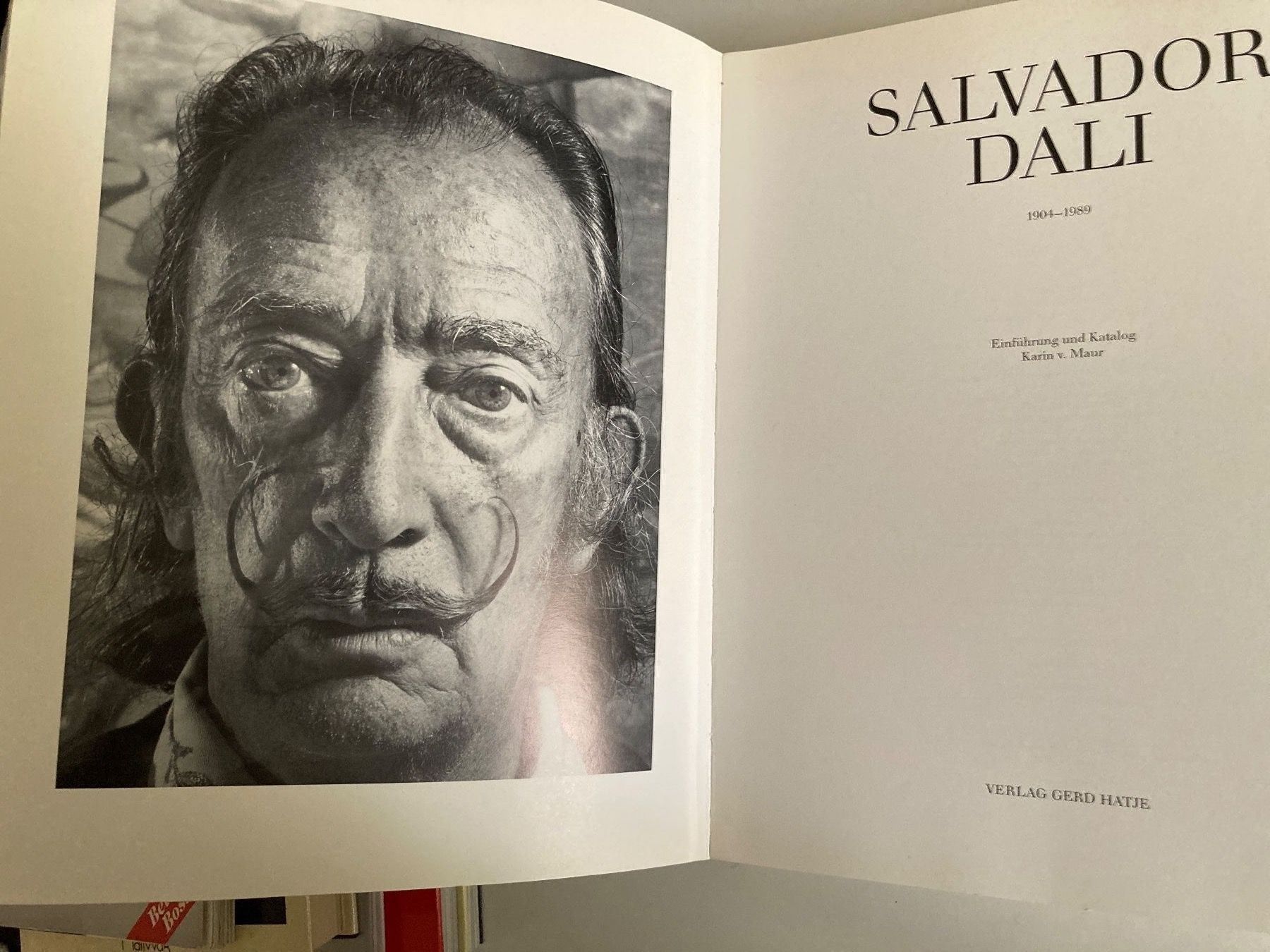 Gemälde: Salvator Dali 1904 - 1989 – Gebraucht aus Zürich von Chaeffeler 1