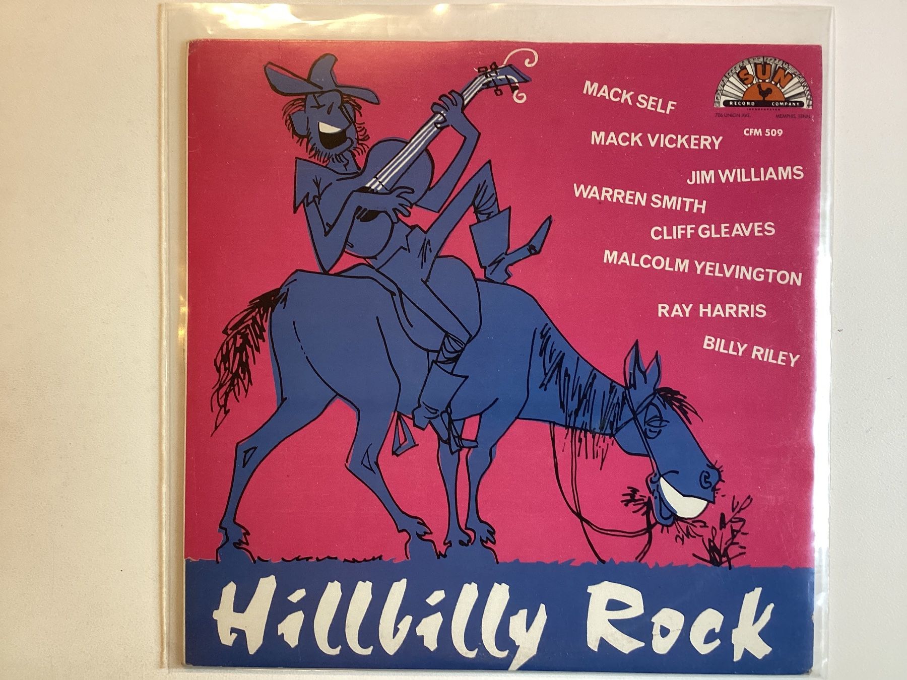 Dischi in vinile: Hillbilly Rock LP – Usato da Gutenswil venduto da Hamzian
