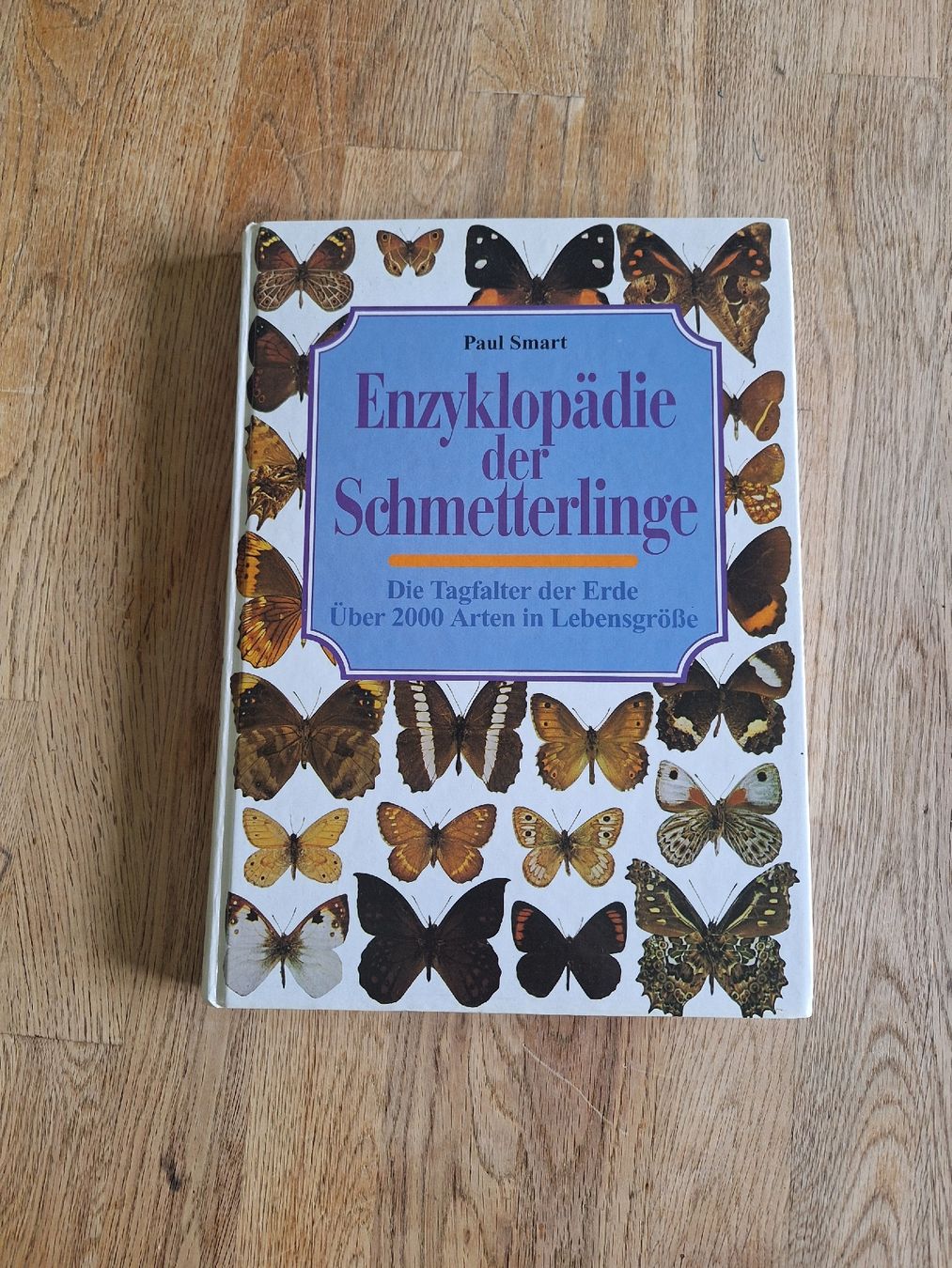 Bücher: Enzyklopädie der Schmetterlinge – Gebraucht aus Ipsach von nik_6hkj