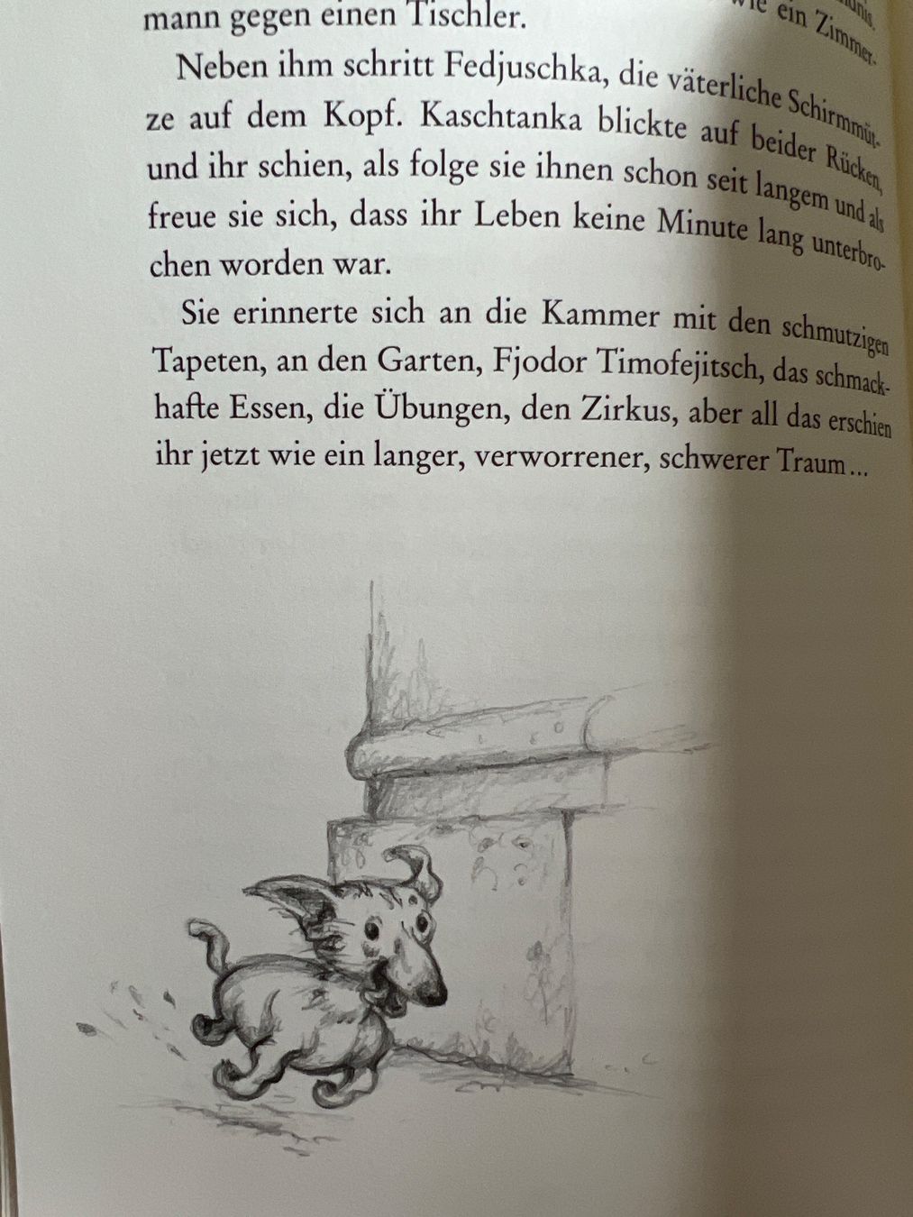 Libri: Kindergeschichten Anton Cechov Kaschtanka – Nuovo (secondo la descrizione) da Zürich venduto da kitsune 2