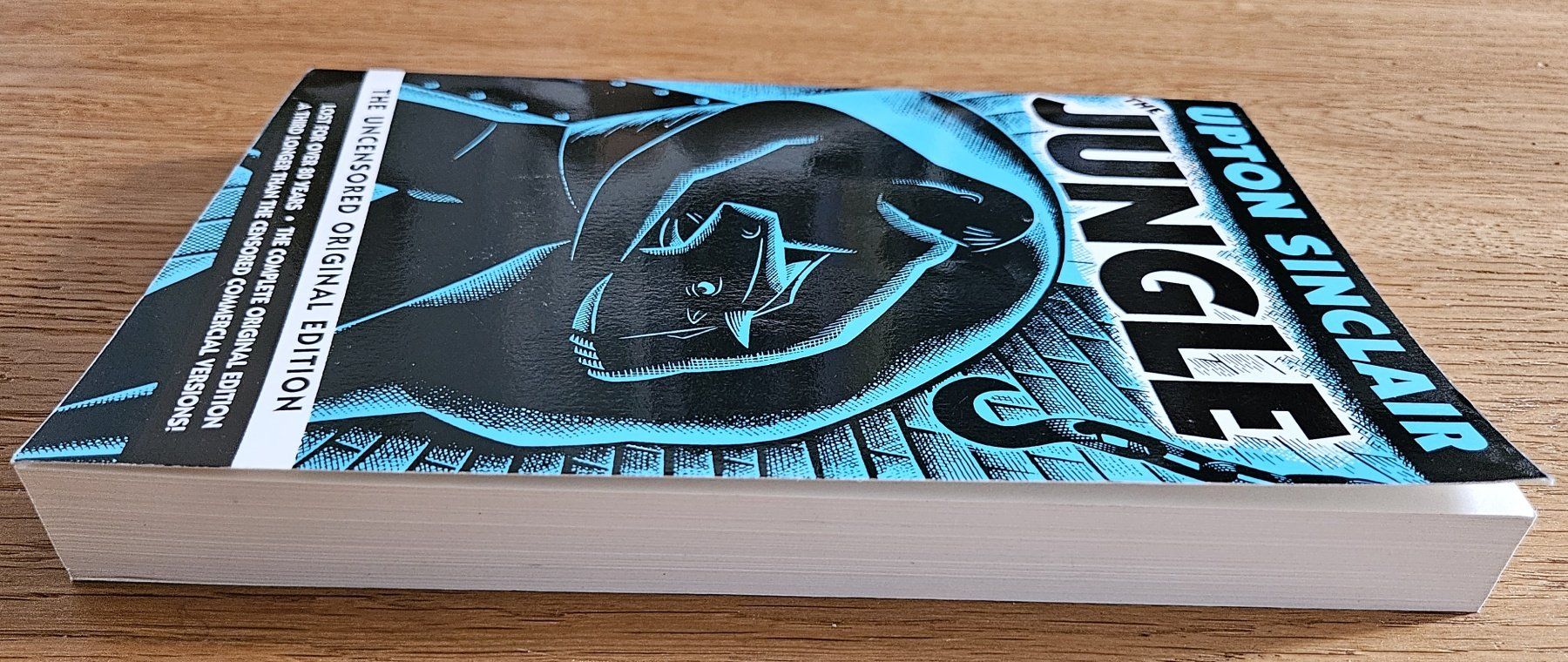 Libri: Upton Sinclair: The Jungle – Usato da Schaffhausen venduto da asyouwestley 2