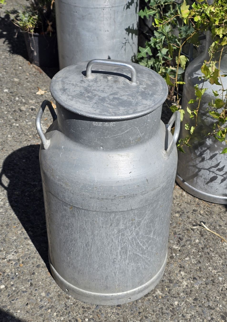 Agricoltura: Milchkanne 40L  – Usato da Burgistein venduto da maia13 1