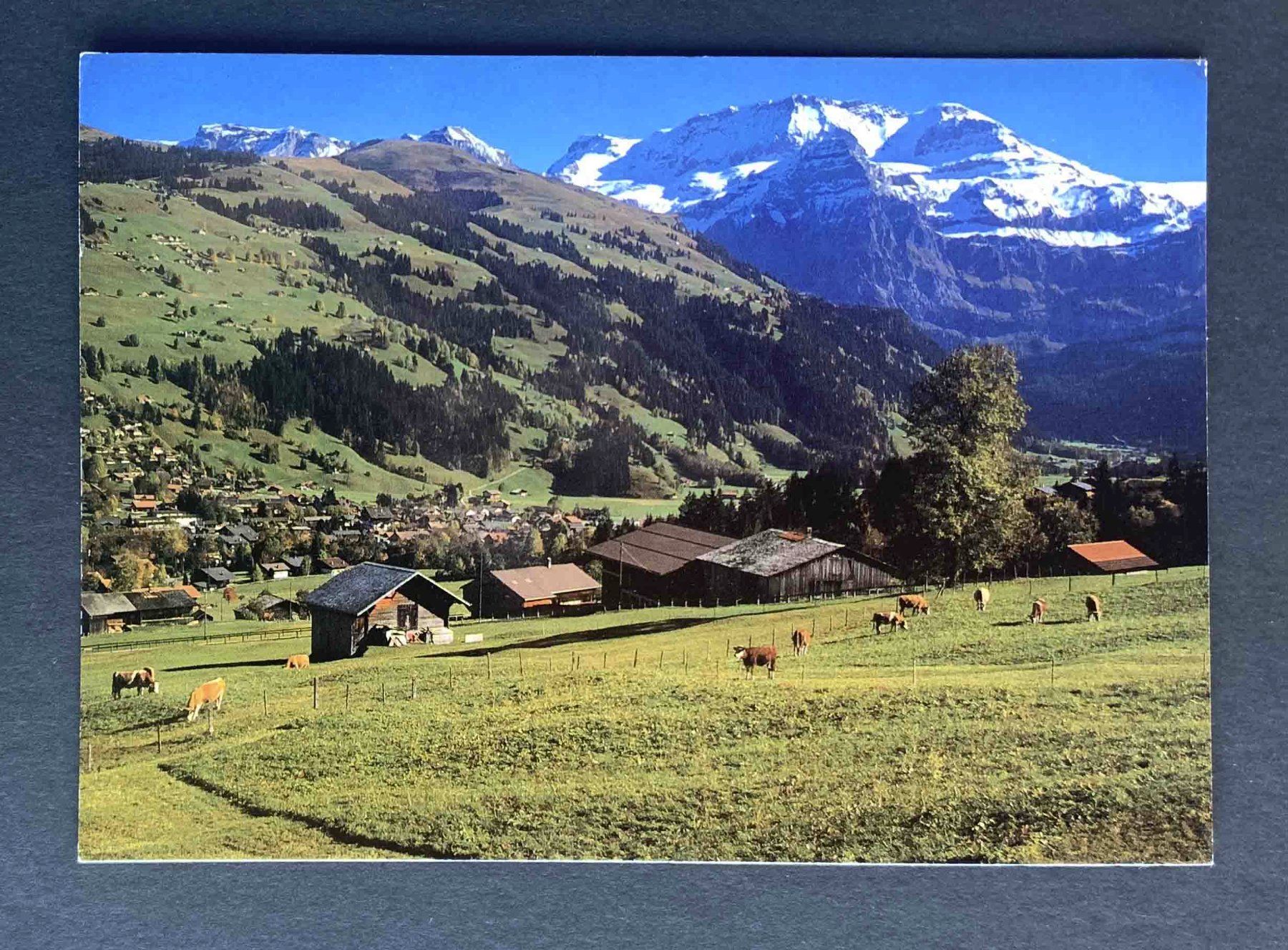 Cartoline postali: AK Lenk Berner Oberland – Usato da Goldau venduto da artelier1