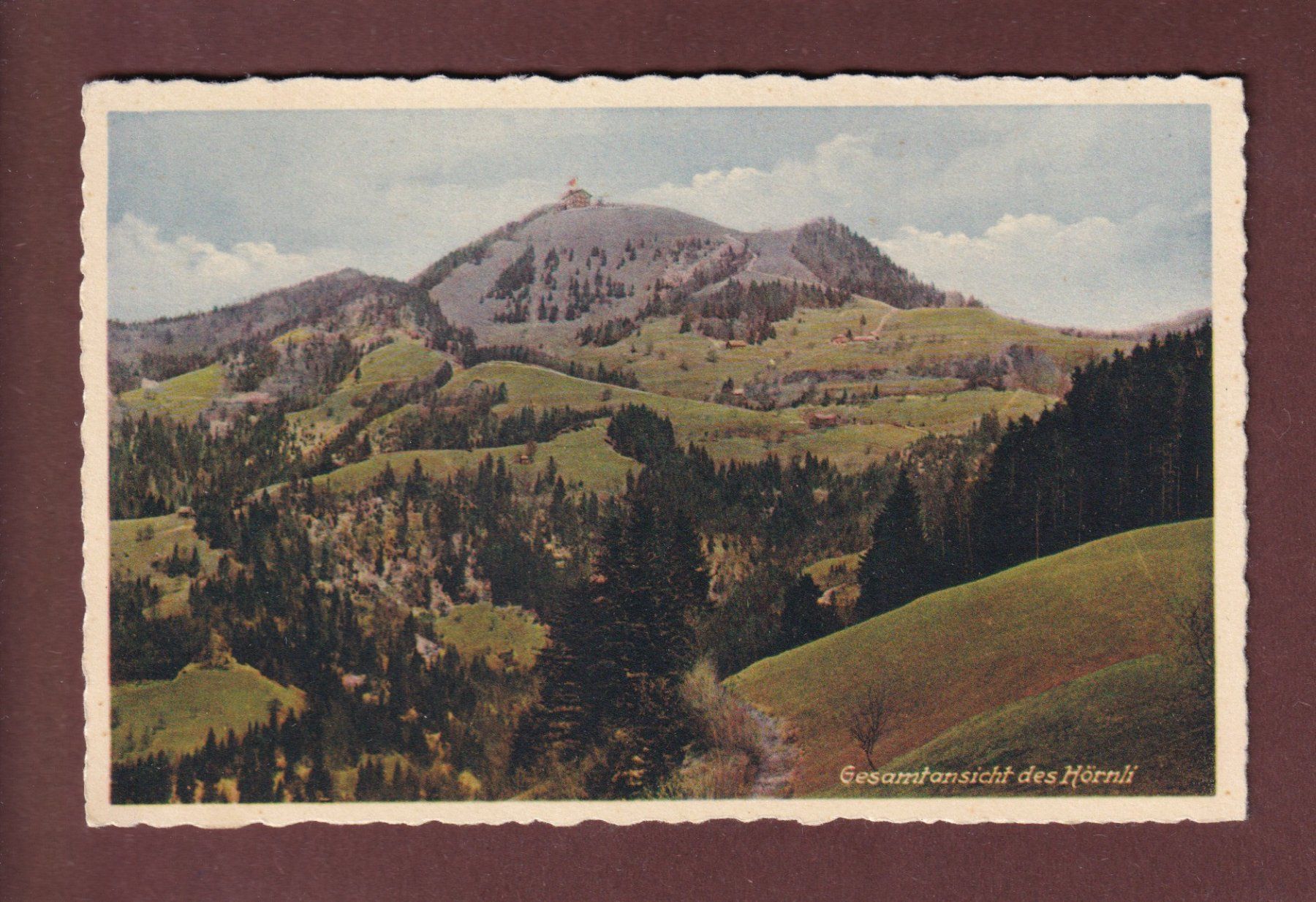 Cartoline postali: Gesamtansicht des HÖRNLI – Usato da Pully venduto da nicecards-shop