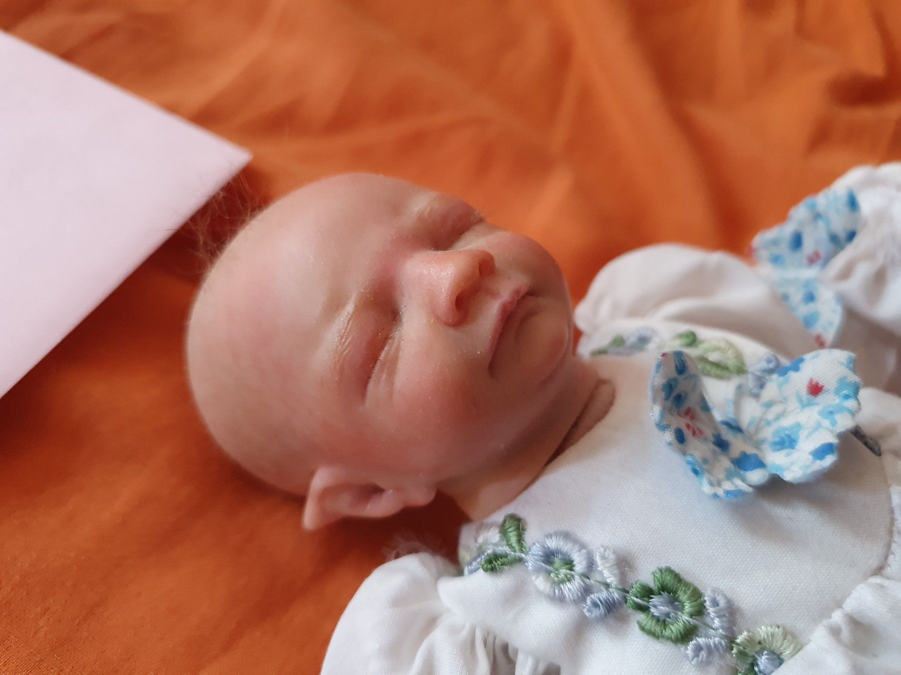 Reborn Bambole: Miniatur-Rebornelfe Rose – Usato da Gais venduto da ste_y6ps 2