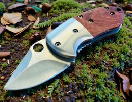 Tactical Klappmesser Messer CW4 WO-4 11cm NEU