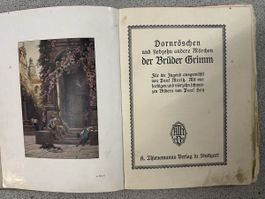 Brüder Grimm – Dornröschen & 17 Märchen – Paul Hey – 1916