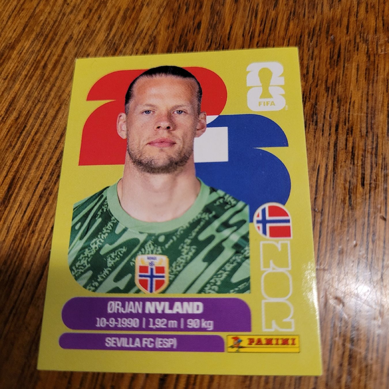 Panini Carte collezionabili: Panini26 NYLAND – Nuovo (secondo la descrizione) da Winterthur venduto da Flomal