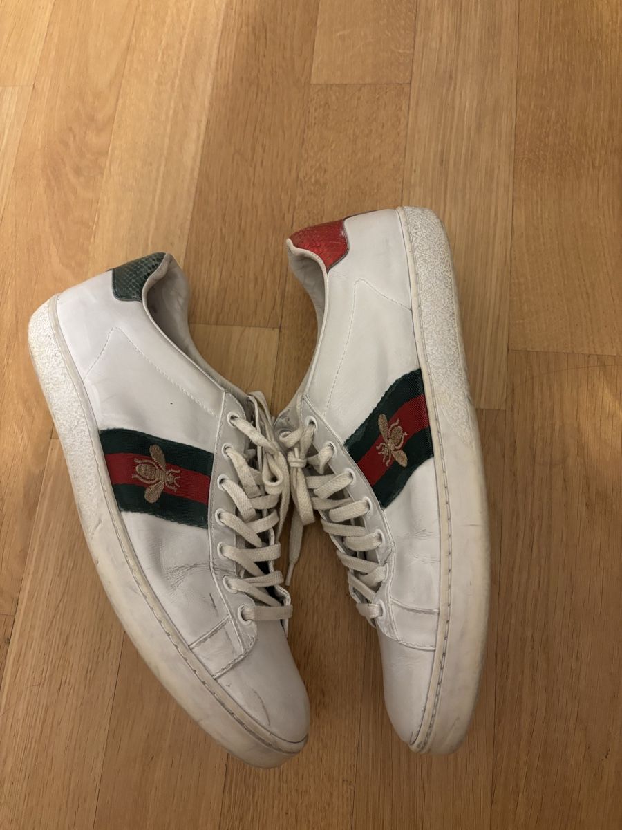 Scarpe da donna: Gucci ace 40 – Usato da Zürich venduto da poq_jg82 1