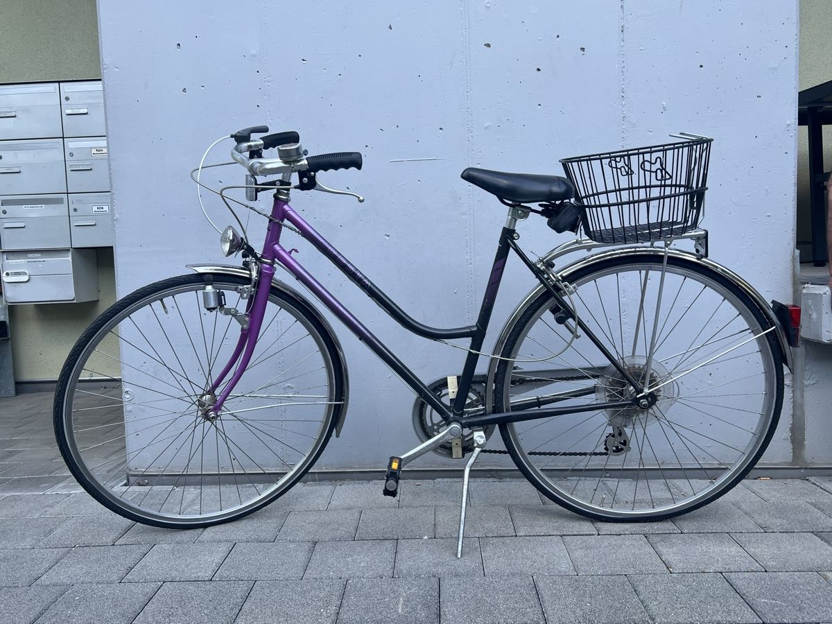 Cresta Biciclette: CRESTA ARTENA Velo – Usato da Brig venduto da avd_n99w