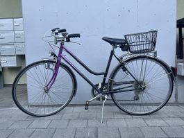 CRESTA ARTENA Velo