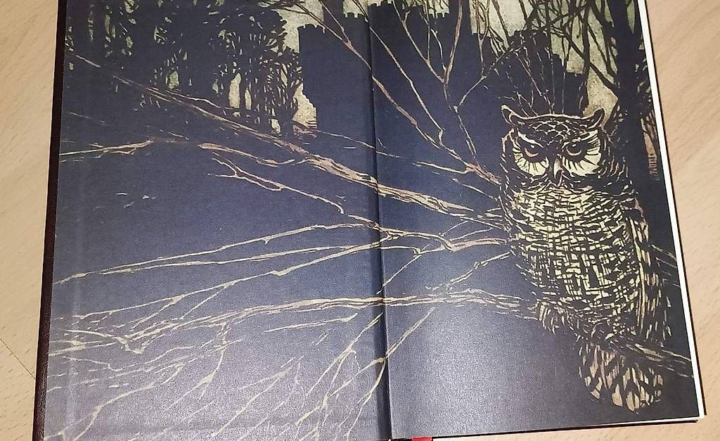 Libri: Grimm's Complete Fairy Tales Buch – Usato da Bern venduto da sv-trade 2