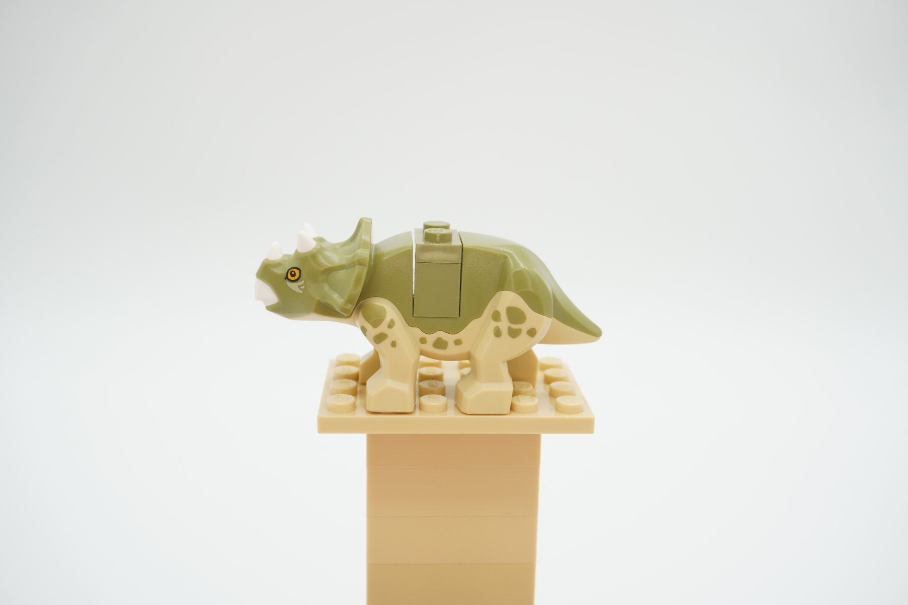 Lego Spielzeuge: Lego Jurassic World Bundle – Gebraucht aus Zürich von PWGrZ 8