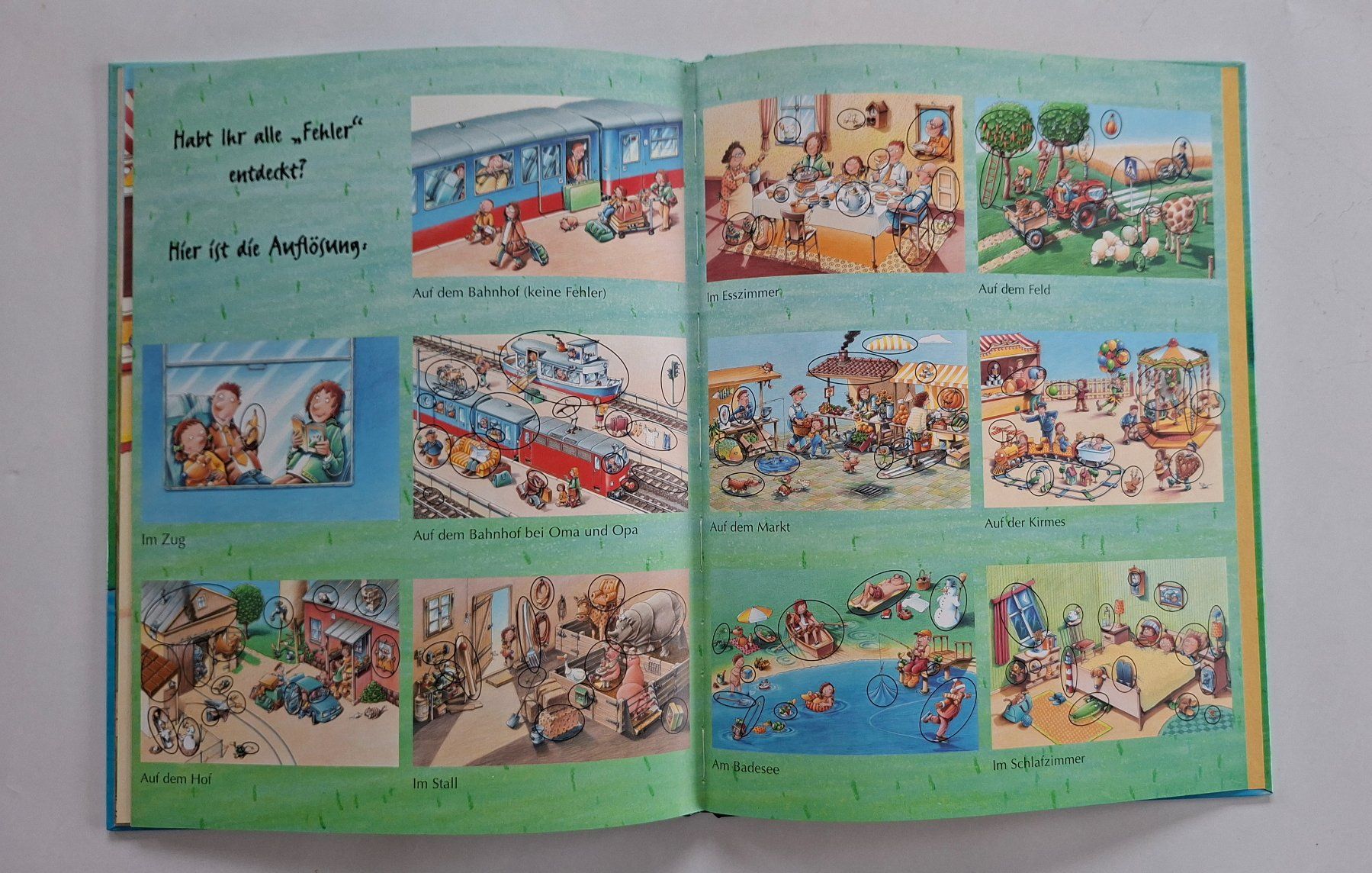 Libri: Kinderbuch "Was stimmt denn da nicht?" – Usato da Opfikon venduto da Diversamente 6