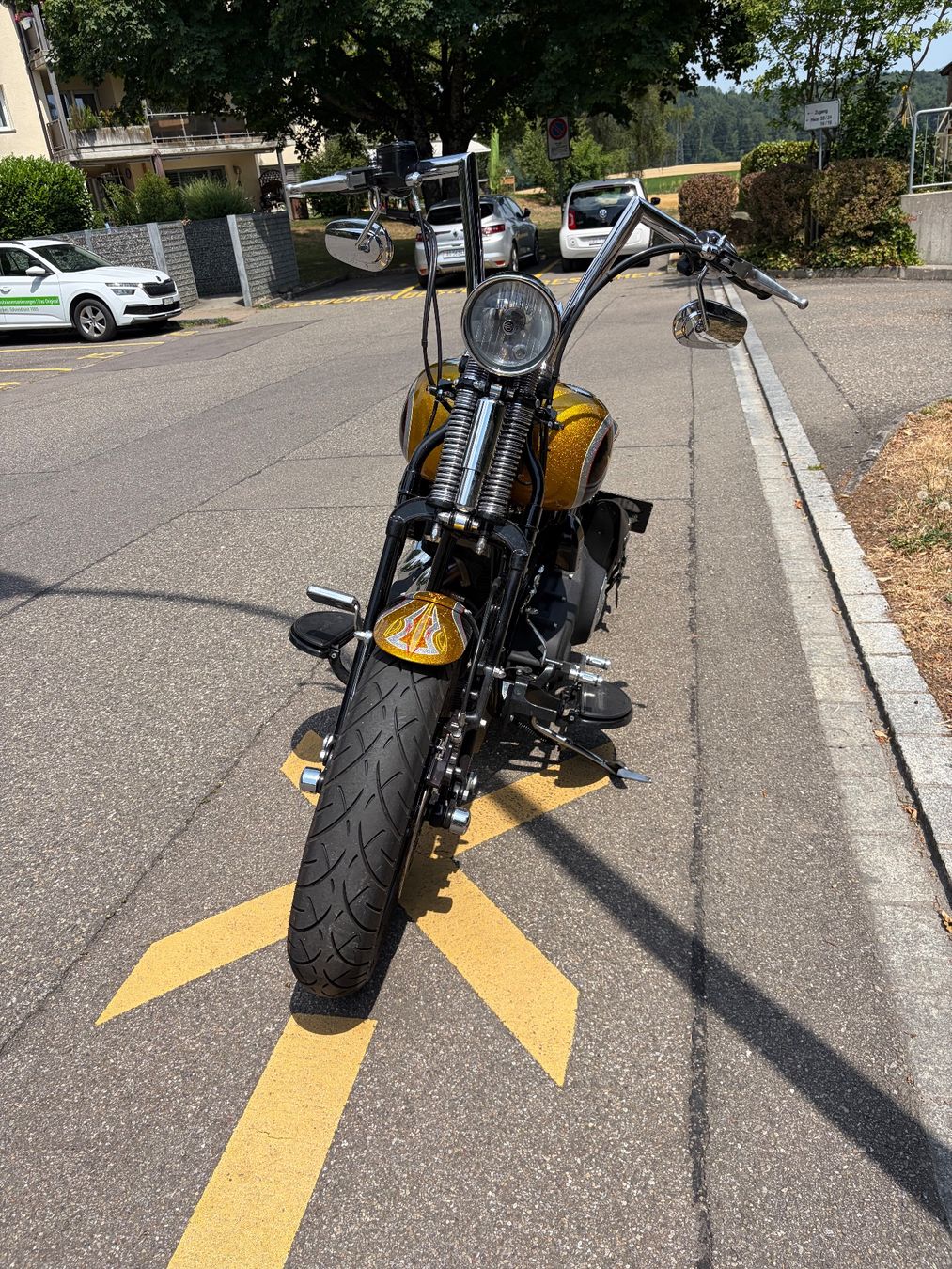 Harley-Davidson Chopper: Harley Davidson CROSS BONES X BONES Custom EINZELSTÜCK – Gebraucht aus Rütihof von elcheffe81 8